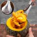 Multi-functional Manual Corer Fruit Flesh Separator_maomaolike.com