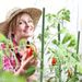 30PCS Plant Vine Poles, 60cm Length, Outdoor Garden Pillars_maomaolike.com