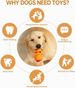 Dog Toys For Aggressive Chewers, Puppy Chew Toys For Teething Natural Rubber Sound Attracts Attention/Reduce Anxiety&Boring 1-Pcs Tough Pet Dental Chews Toy For Small Meduium Large Dogs Breed_maomaolike.com