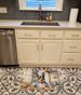 Australian Cattle Dog The Chef Memory Foam Kitchen Mat Machine Washable Anti-Fatigue Mat Cushion Comfort Bath Mat Or Kitchen Rug_maomaolike.com