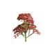 Plants Artificial Flowers Plastic Six-Pronged Christmas Wreath Decoration Small Fruit Accessories Wholesale_maomaolike.com