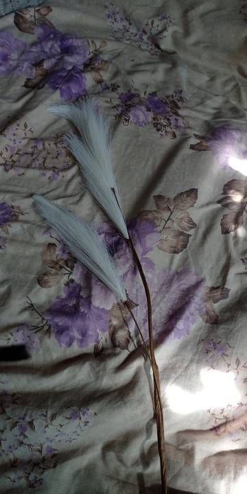 Reed Pampas Artificial Flowers Fake Flowers And Green Plants Wholesale Wedding Cross-border Decorations MW85502_maomaolike.com