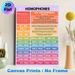 Homophones Educational Painting Poster, Vibrant Color-coded Informative Poster, Clear Homophone Examples To Boost English Language Proficiency, Ideal_maomaolike.com