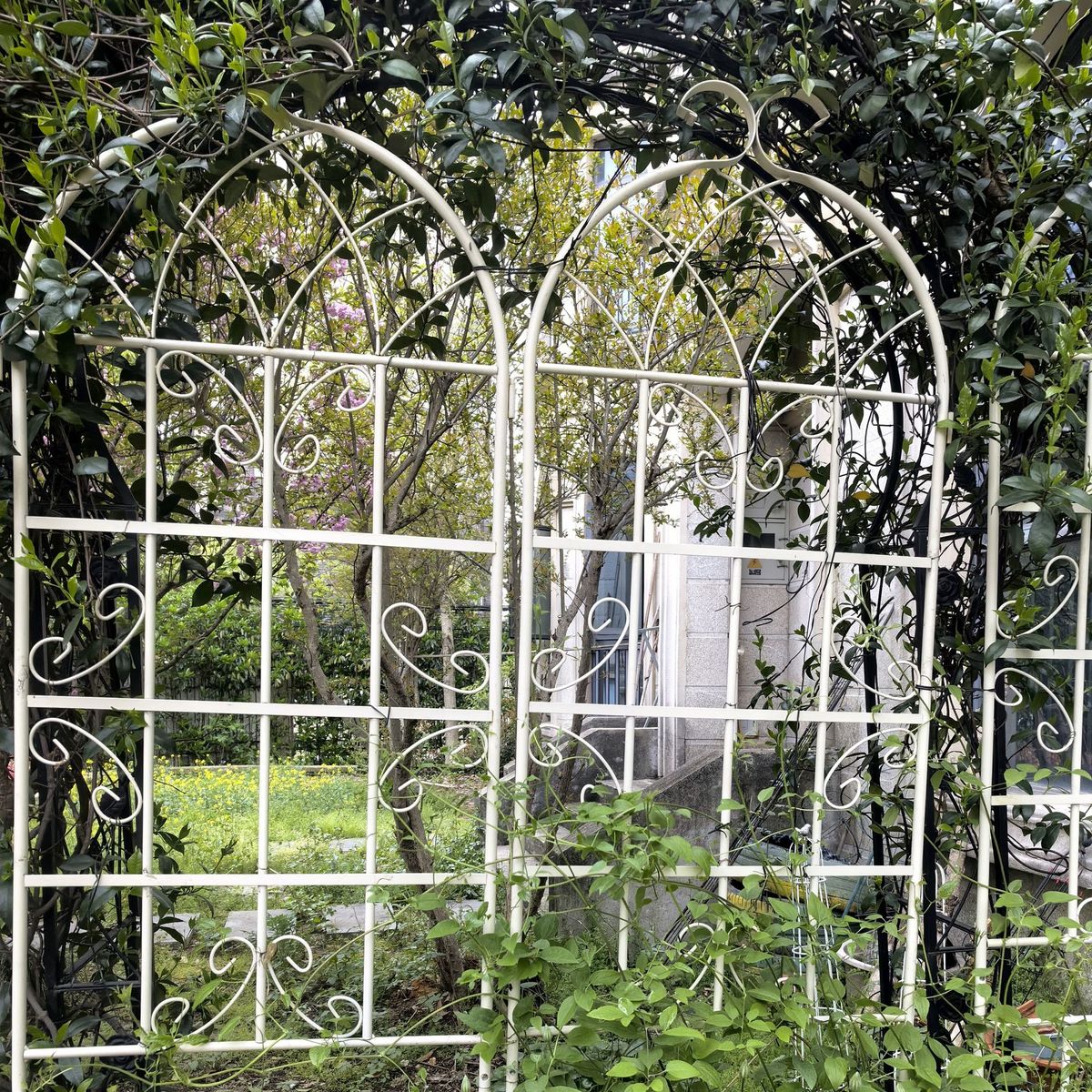 2 Pack Metal Garden Trellis 86.7" X 19.7" Rustproof Trellis For Climbing Plants Outdoor Flower Support Cream White_maomaolike.com