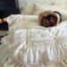 French Princess Style Winter Thickened Milk Velvet Four-Piece Set Romantic Lace Trim Duvet Cover Bed Skirt Bedding_maomaolike.com