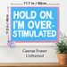 Slogan Typography Painting Poster, Vibrant Bold Text Style Poster, Relatable Humorous Message Ideal For Bedroom, Home Office Decor_maomaolike.com