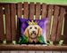 Goldendoodle King Of Mardi Gras Throw Pillow Machine Washable, Indoor Outdoor Decorative Pillow For Couch, Bed Or Patio, 14Hx14W_maomaolike.com