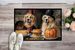 Golden Retriever Fall Kitchen Pumpkins Doormat Front Door Mat Indoor Outdoor Rugs For Entryway, Non Slip Washable Low Pile, 24H X 36W_maomaolike.com
