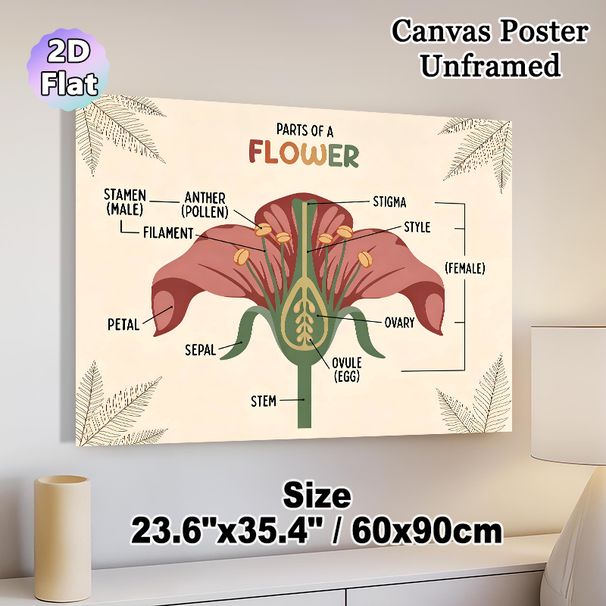 Flower Anatomy Painting Poster, Warm-toned Educational Botanical Poster, Informative Labeled Flower Parts Reference Suitable For Study Rooms_maomaolike.com
