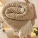 Cross-Border Taffeta Winter Thickened Double-Layer Multi-Functional Throw Lamb Fleece Sofa Air Conditioning Nap Blanket_maomaolike.com