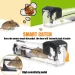 Safe Firm Humane Reusable Plastic Rodents Trap Household Mouse Catcher Smart Self-locking Mousetrap For Indoor Outdoor_maomaolike.com