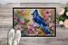 Blue Jay Doormat Front Door Mat Indoor Outdoor Rugs For Entryway, Non Slip Washable Low Pile, 24H X 36W_maomaolike.com