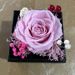 Eternal Rose real flower drawer necklace ring gift box Mother's Day Valentine's Day gift dried flower eternal flower jewelry box_maomaolike.com