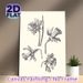 Daffodil Botanical Painting Poster, Monochrome Hand-drawn Sketch Poster, Delicate Detailed Floral Artwork, Ideal For Living Room, Bedroom & Office_maomaolike.com