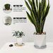38lbs Decorative Garden Stone Outdoor Landscaping, Walkways, Yard, 1-3 Inch Large Polished River Rocks For Plants Pots, Vases, Crafts_maomaolike.com