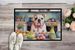 Decorating Easter English Bulldog Doormat Front Door Mat Indoor Outdoor Rugs For Entryway, Non Slip Washable Low Pile, 24H X 36W_maomaolike.com
