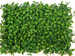 Artificial Lawn Faux Green Plant Background Wall Decoration Indoor Outdoor Plastic Fake Flower Shop Sign_maomaolike.com
