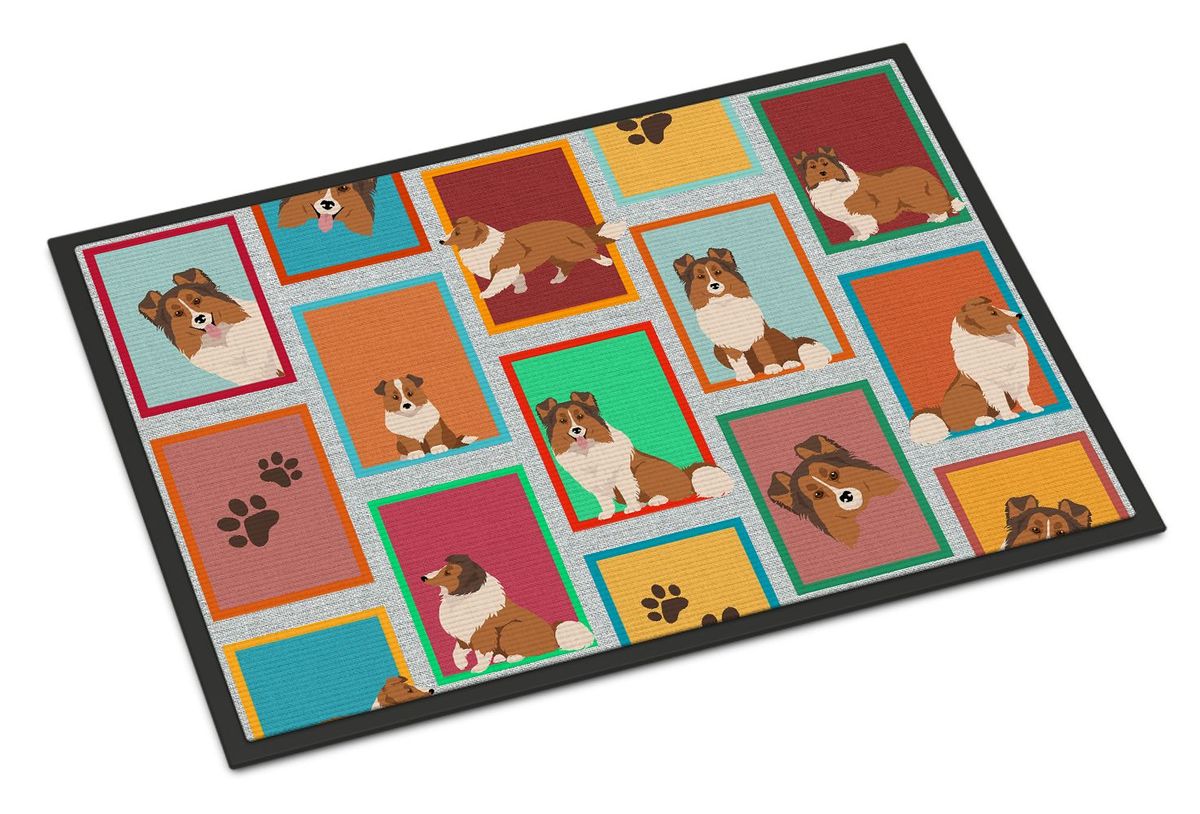 Lots Of Sheltie Doormat Front Door Mat Indoor Outdoor Rugs For Entryway, Non Slip Washable Low Pile, 24H X 36W_maomaolike.com