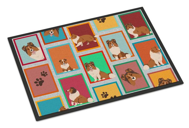 Lots Of Sheltie Doormat Front Door Mat Indoor Outdoor Rugs For Entryway, Non Slip Washable Low Pile, 24H X 36W_maomaolike.com