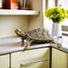 Vintage Pure Brass Longevity Desktop Ornament Lucky Turtle Sculpture Craft Tea Pet Decoration Old Bronze Artifact_maomaolike.com