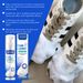Jaysuing Little White Shoes Foam Cleaner Sports Shoes Decontamination Vamp Clean And Wash Free Whitening Cleaner_maomaolike.com