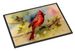 Cardinal Doormat Front Door Mat Indoor Outdoor Rugs For Entryway, Non Slip Washable Low Pile, 24H X 36W_maomaolike.com