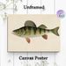 Perch Themed Painting Poster, Vintage Realistic Illustrated Poster, Detailed Striped Perch Artwork With Reddish Fins, Ideal For Study And Fishing_maomaolike.com