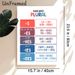 English Plural Rules Painting Poster, Colorful Structured Educational Poster, Clear Grammar Learning Guide To Master Noun Pluralization, Suitable For_maomaolike.com