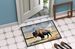 Prairie Bison Doormat Front Door Mat Indoor Outdoor Rugs For Entryway, Non Slip Washable Low Pile, 24H X 36W_maomaolike.com