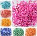 Small Natural Crushed Shells For Crafts About 2LB 900g 31.74oz DIY Beaching Wedding Decoration Vase Fillers_maomaolike.com