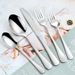 20 In 1 Stainless Steel Cutlery Steak Cutlery Set_maomaolike.com