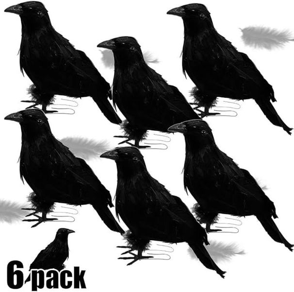 Halloween Birds, Black Feathered Crows, Realistic Looking Halloween Decoration Birds_maomaolike.com