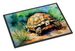 Turtles Tortoises Doormat Front Door Mat Indoor Outdoor Rugs For Entryway, Non Slip Washable Low Pile, 24H X 36W_maomaolike.com