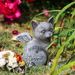 New Product: Pet Memorial Tombstone Resin Ornament For Courtyard Garden, Cat And Dog Remembrance Craft_maomaolike.com