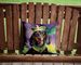 Dachshund King Of Mardi Gras Throw Pillow Machine Washable, Indoor Outdoor Decorative Pillow For Couch, Bed Or Patio, 14Hx14W_maomaolike.com