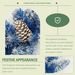 Pre-lit Xmas Tree Artificial Christmas 4-Piece Set,Garland, Wreath And Set Of 2 Entrance Trees X-mas With LED Lights, Christmas Tree_maomaolike.com