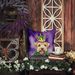 Wheaten Terrier King Of Mardi Gras Throw Pillow Machine Washable, Indoor Outdoor Decorative Pillow For Couch, Bed Or Patio, 18Hx18W_maomaolike.com