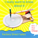 Children's Science Experiment School Student Technology Small Production Physics Handmade Diy Material Package Toy_maomaolike.com