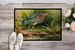 Green Heron Doormat Front Door Mat Indoor Outdoor Rugs For Entryway, Non Slip Washable Low Pile, 24H X 36W_maomaolike.com