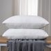 Chopped Memory Foam Pillow Removable And Washable Pack Of 2_maomaolike.com