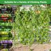 71 X 71 Inch U-Shaped Tall Garden Arched Trellis For Climbing Plants_maomaolike.com