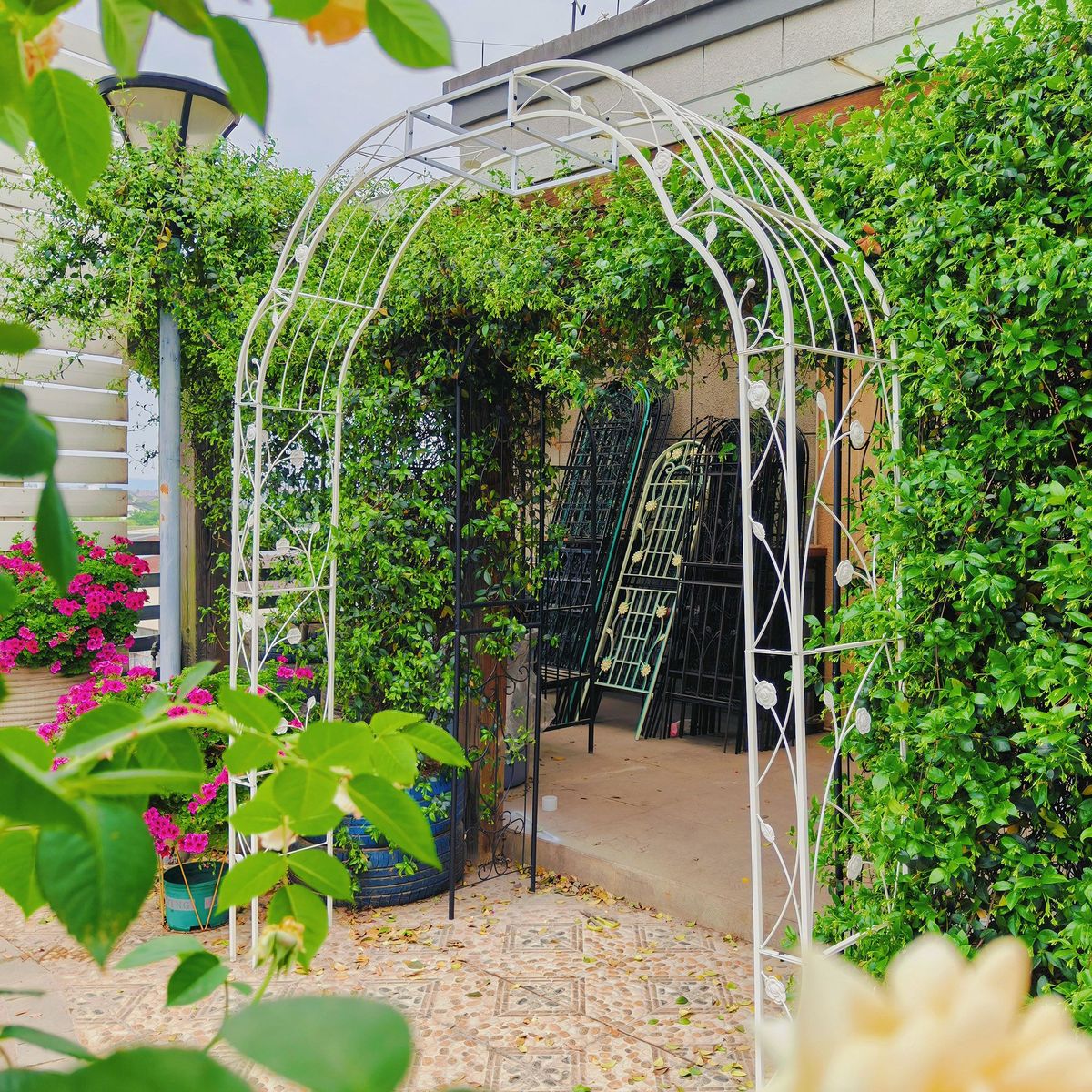 Metal Garden Arch W74.4'' X H98.4'' Garden Arbor Trellis Climbing Plants Support Rose Arch Outdoor Arch_maomaolike.com