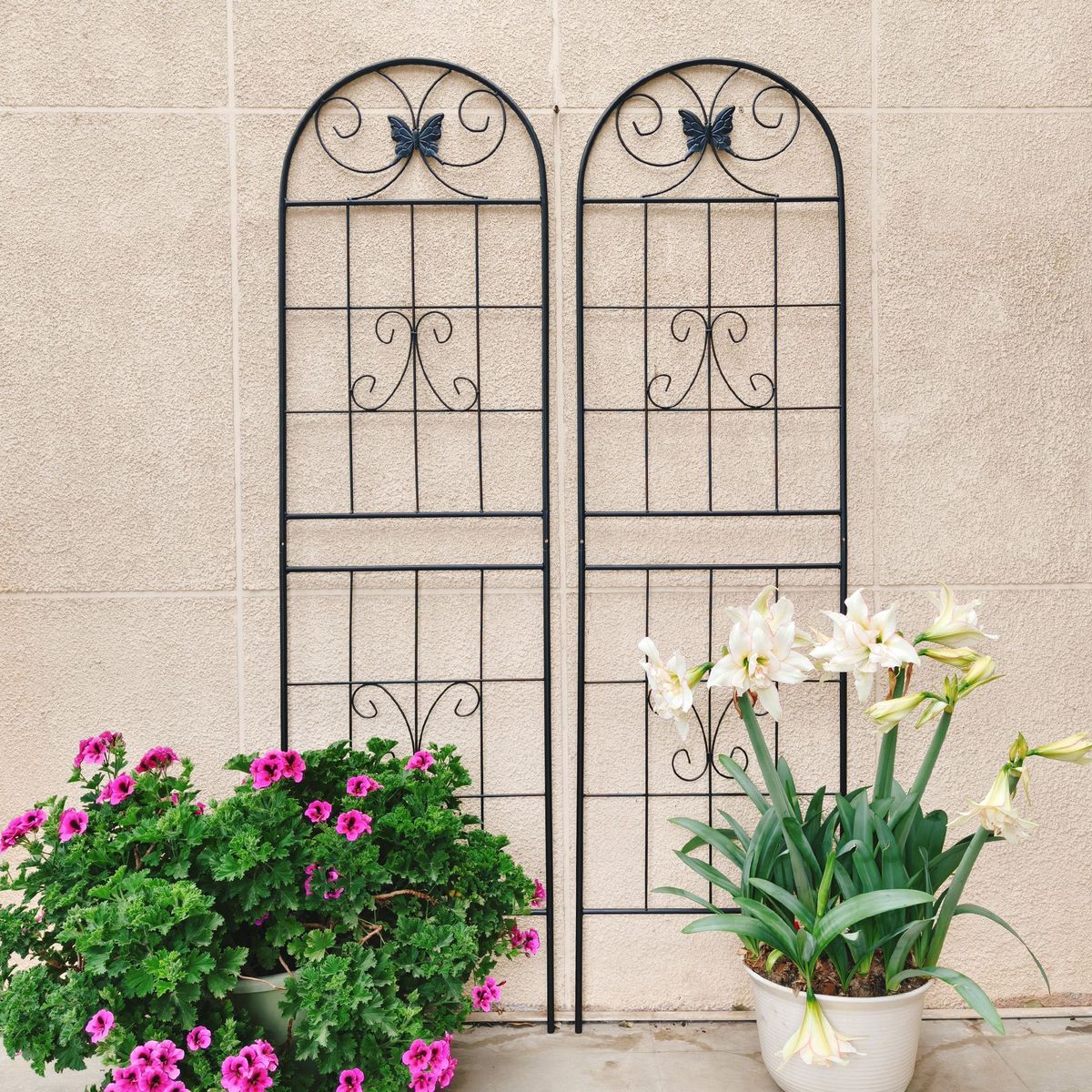 2 Pack Metal Garden Trellis 71" X 19.7" Rustproof Trellis For Climbing Plants Outdoor Flower Support Black_maomaolike.com