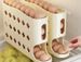 Rolling Egg Storage Box, Kitchen Multi-layer Slanted Automatic Egg Roller, Refrigerator Side Door Egg Tray, Food Storage Box_maomaolike.com