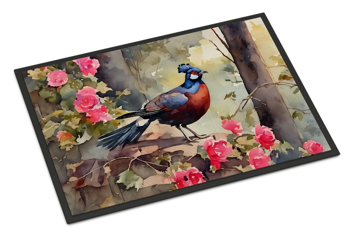 Pheasant Doormat Front Door Mat Indoor Outdoor Rugs For Entryway, Non Slip Washable Low Pile, 24H X 36W_maomaolike.com