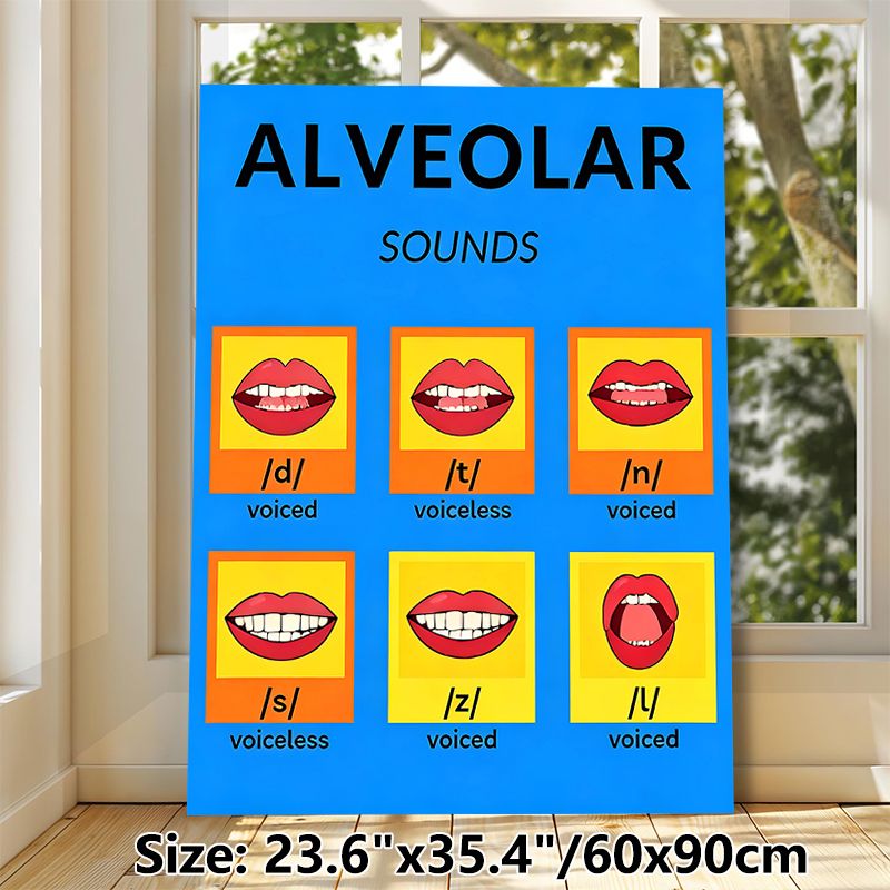 Alveolar Sounds Painting Poster, Bright & Clear Phonetics Chart Poster, Displays Mouth Shapes For English Alveolar Sounds, Helpful For Pronunciation_maomaolike.com