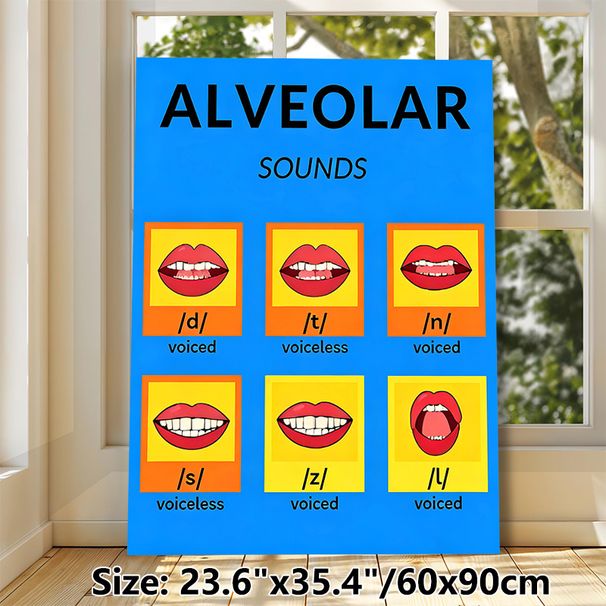 Alveolar Sounds Painting Poster, Bright & Clear Phonetics Chart Poster, Displays Mouth Shapes For English Alveolar Sounds, Helpful For Pronunciation_maomaolike.com