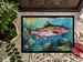Rainbow Trout Doormat Front Door Mat Indoor Outdoor Rugs For Entryway, Non Slip Washable Low Pile, 24H X 36W_maomaolike.com