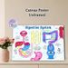 Digestive System Educational Painting Poster, Vibrant Cartoon-style Human Digestive System Illustration Poster, Informative Learning Tool With Clear_maomaolike.com