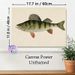 Perch Themed Painting Poster, Vintage Realistic Illustrated Poster, Detailed Striped Perch Artwork With Reddish Fins, Ideal For Study And Fishing_maomaolike.com